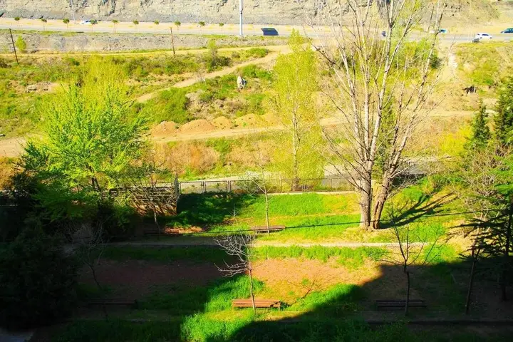 Тбилиси: Sunny Apartment In The City Center Surrounded By Nature