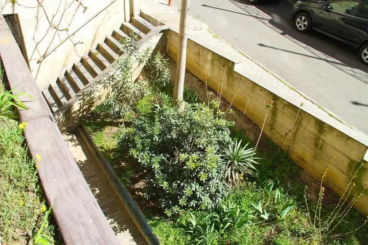 Тбилиси: Sunny Apartment In The City Center Surrounded By Nature