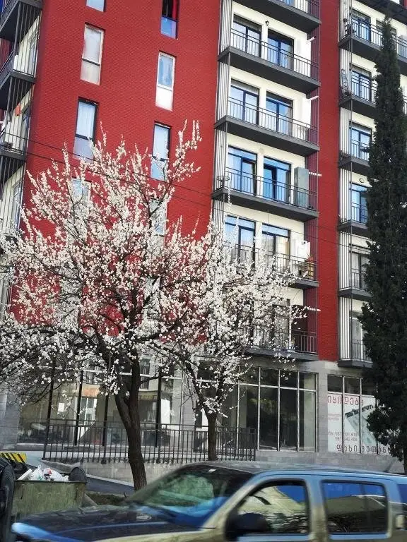 Тбилиси: Apartment 131