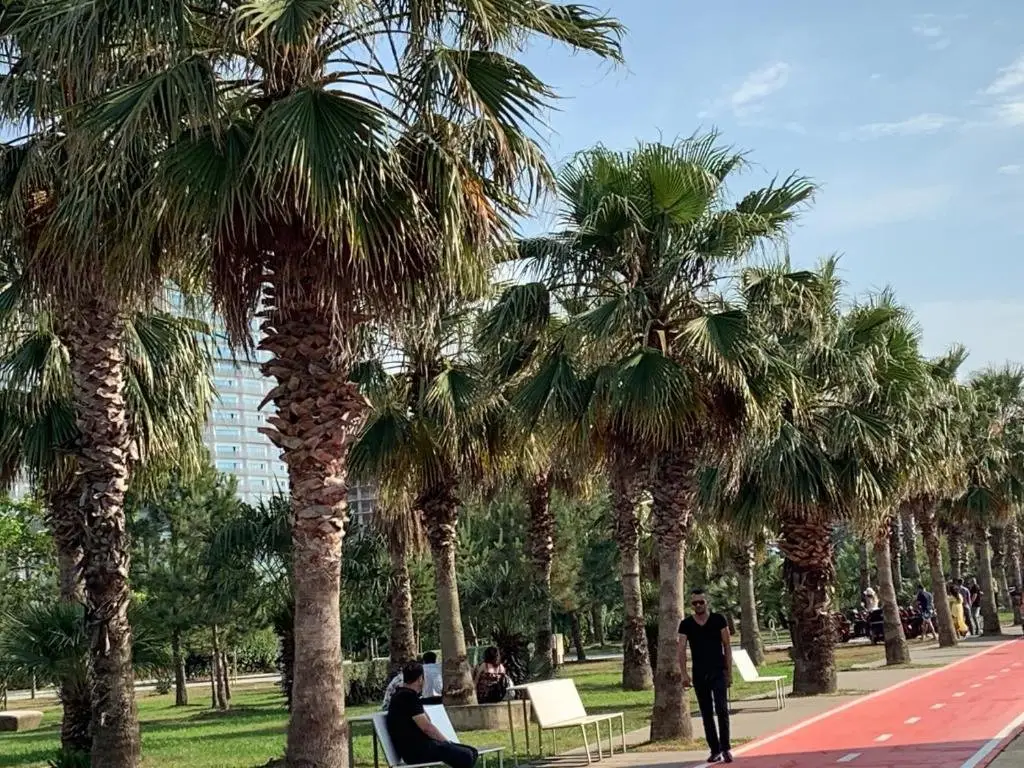 Батуми: Batumi Metro Plus 1295 first line by the sea