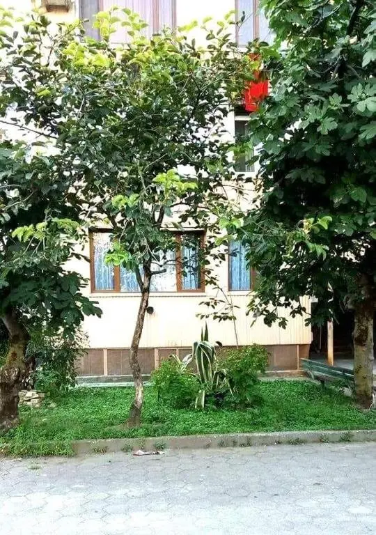 Батуми: As at home