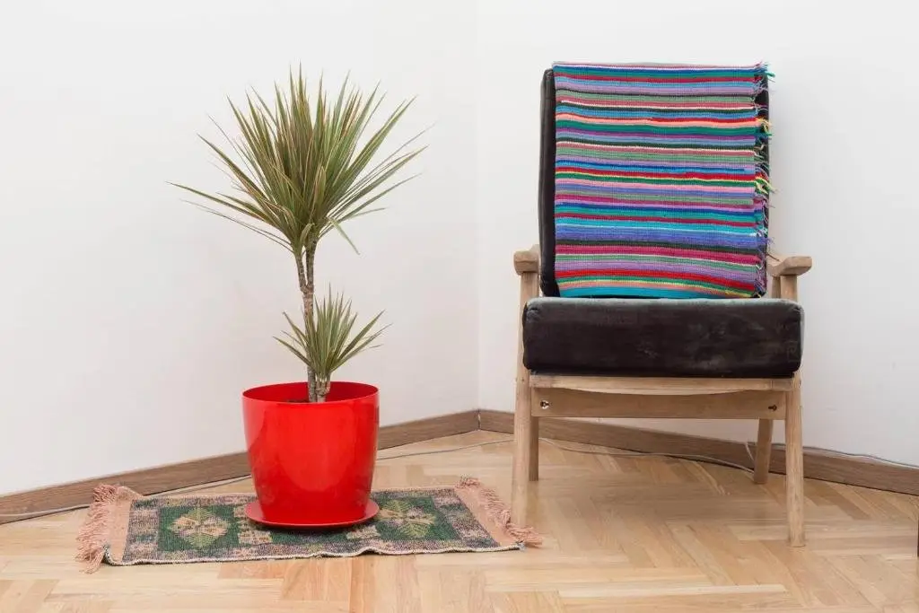 Тбилиси: ? Colorful 1 BR Apt next 2 Rooms Hotel ?