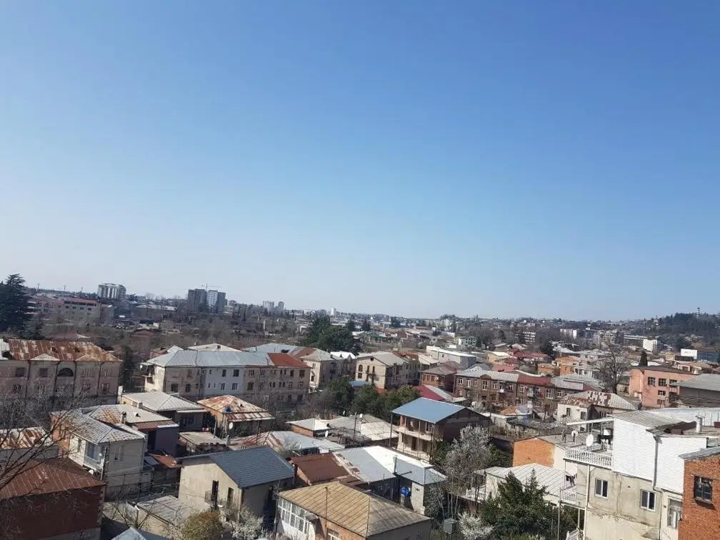 Кутаиси: Apartments near University