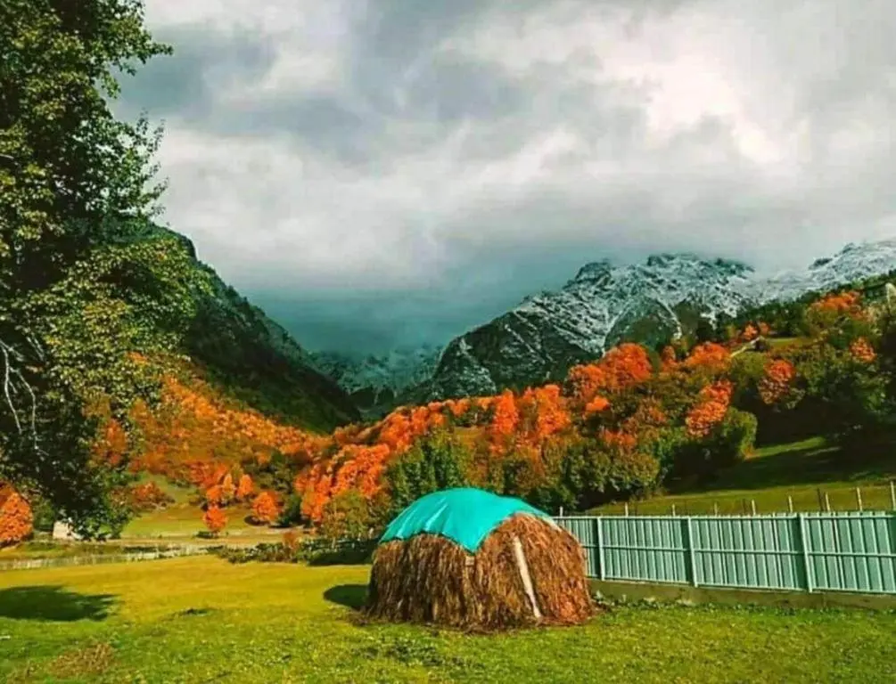 Тбилиси: guest house J E M A L I