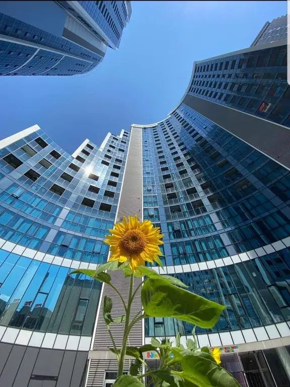 Батуми: Ramada apartament