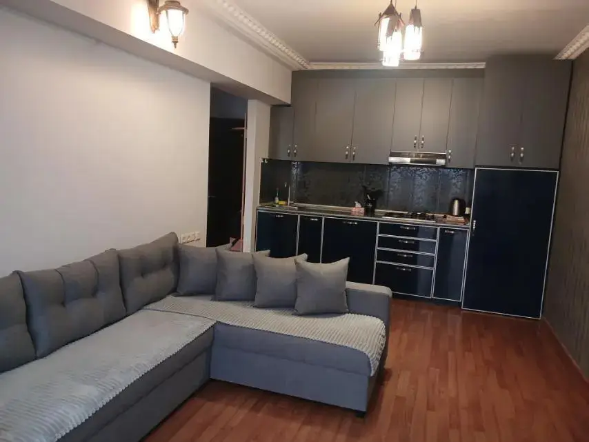 Ереван: Апартаменты City center  apt. in Koghbatsi str.