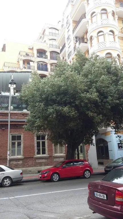Батуми: Nana's Apartment on Rustaveli