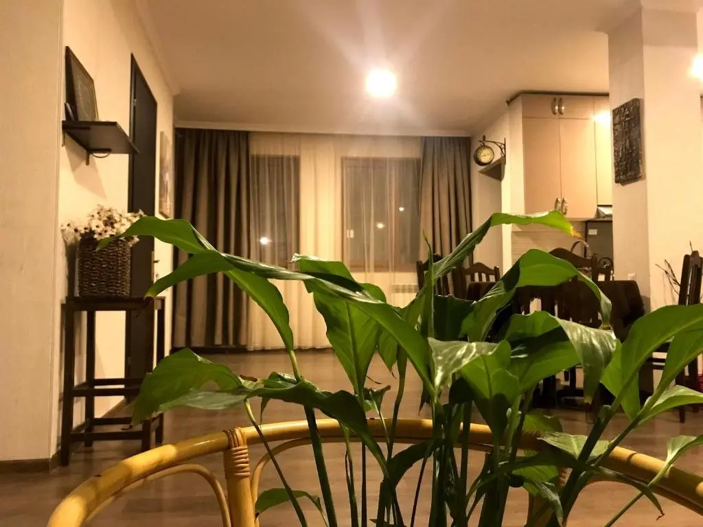 Тбилиси: SoLo - Guest House in Old Tbilisi