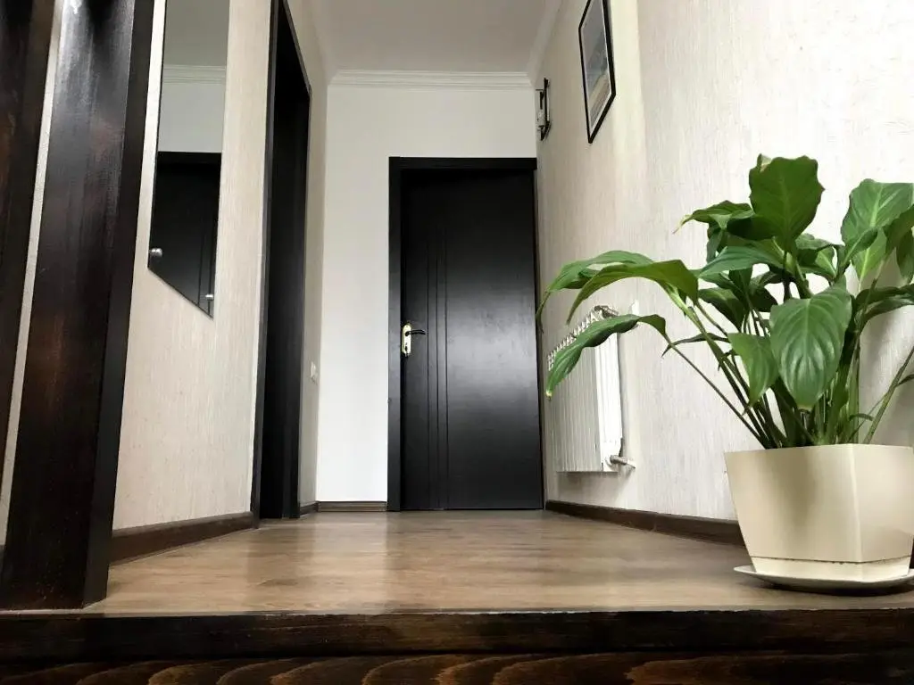 Тбилиси: SoLo - Guest House in Old Tbilisi