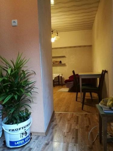 Тбилиси: Cozy Room in Tbilisi Yard