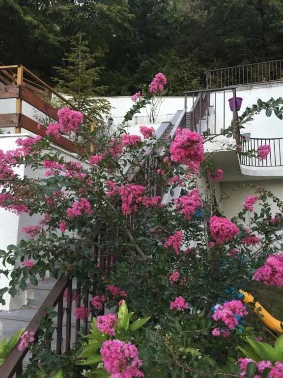 Тбилиси: Tbilisi Tskneti Guesthouse