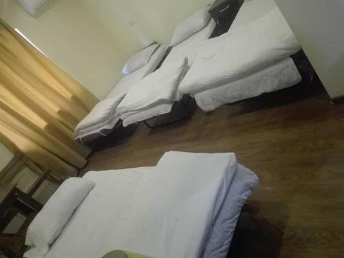 Тбилиси: Gidora hotel