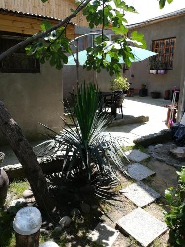 Тбилиси: Nanita Guest House