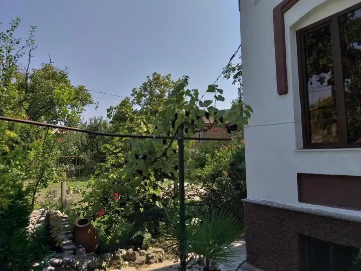 Тбилиси: Surami White Guesthouse