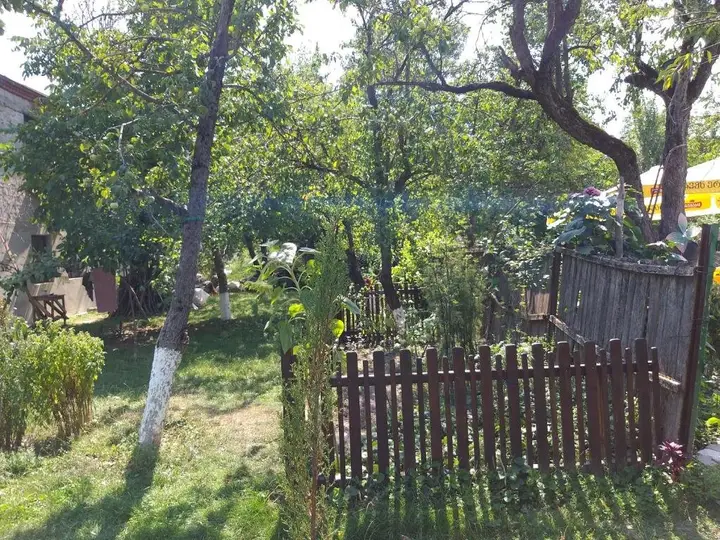 Тбилиси: Surami White Guesthouse