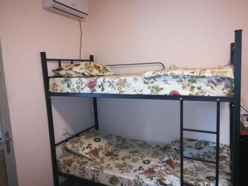 Тбилиси: Hostel is Hostel