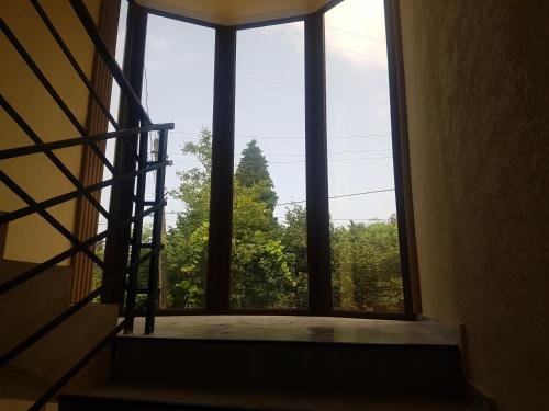 Батуми: Guesthouse David