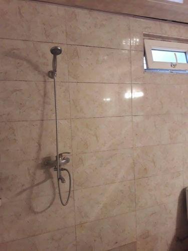 Тбилиси: Guest House " Lily"
