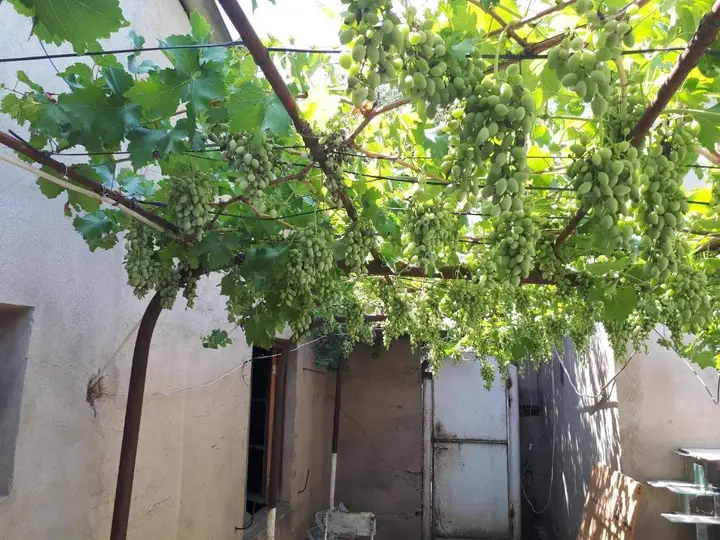Тбилиси: Diaoxi Guest House