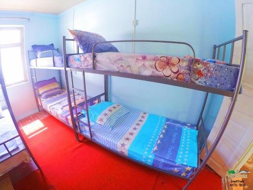Тбилиси: Downtown Hostel