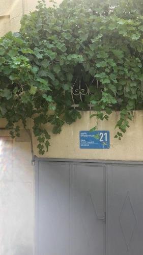 Тбилиси: Summer Garden