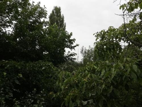 Тбилиси: Mtatsminda hill in the old town