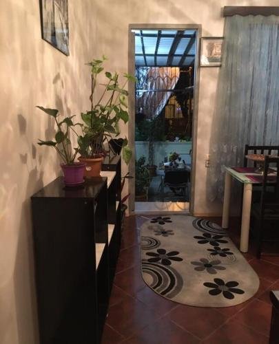 Батуми: green corner