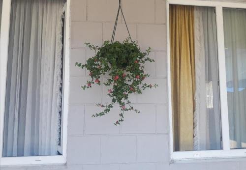 Батуми: Hortensia Guest house