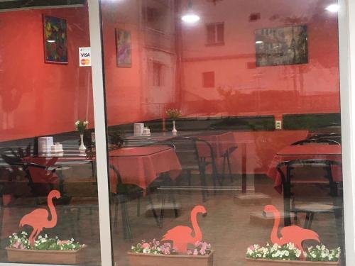 Кобулети: flamingo