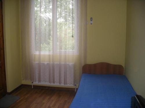 Кобулети: Guest House Kameliya