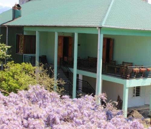 Кобулети: Guest House Kameliya