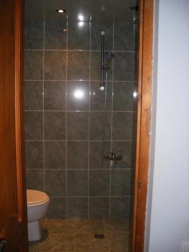 Кобулети: Guest House Kameliya