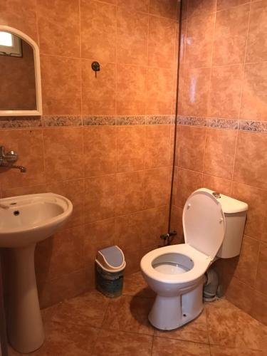 Кобулети: David Hotel