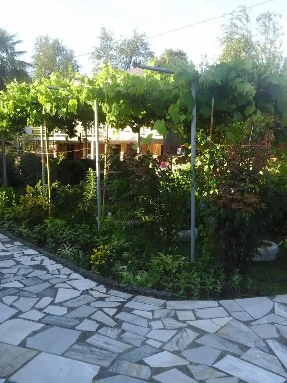 Кобулети: Guest House Nakaidzeebi