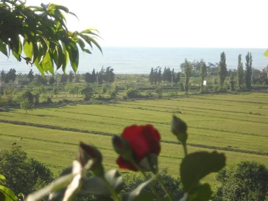 Кобулети: kobuleti tsikhisdziri