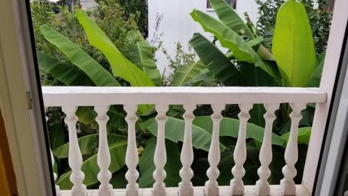Кобулети: Kobuleti Sweet House