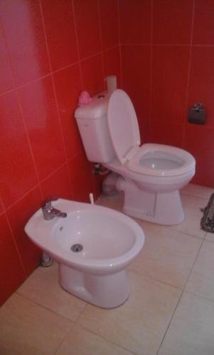 Кобулети: guest house ( guramishvili 19 )