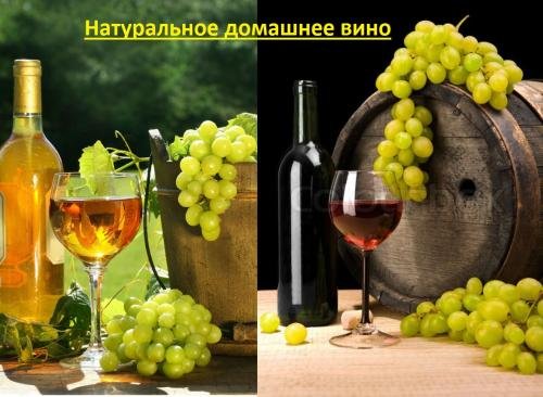 Кобулети: guest house ( guramishvili 19 )