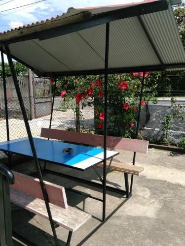 Кобулети: gurami guest house