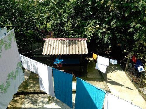 Кобулети: gurami guest house
