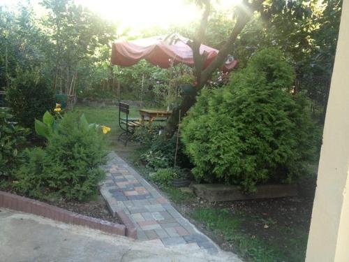 Кобулети: Tako's House