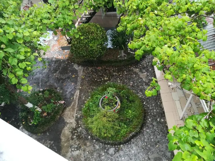 Кобулети: Guesthouse Mesxi