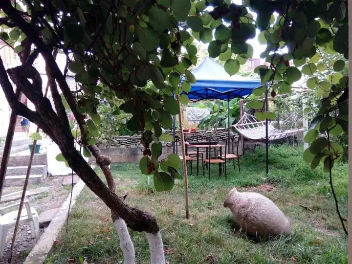 Кобулети: Kobuleti Egro House