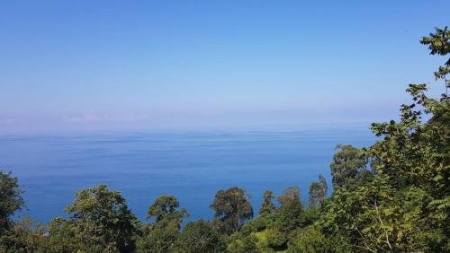 Батуми: Kvariati Hills Hotel
