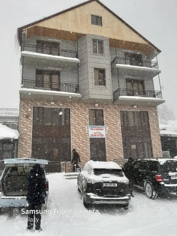 Батуми: hotel david goderdzi