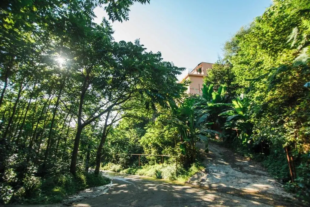 Батуми: Hotel in Nature/Отель в природе