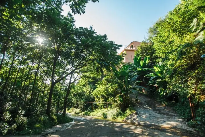 Батуми: Hotel in Nature/Отель в природе