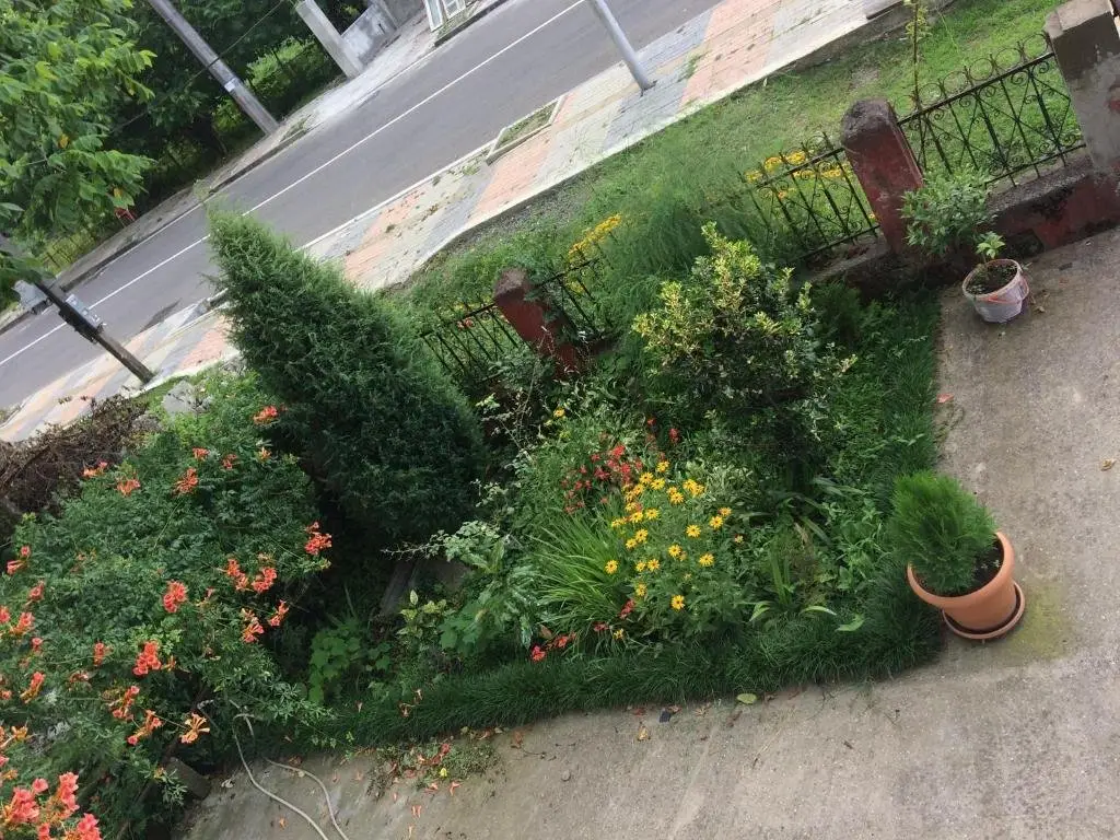 Кобулети: Natia guest house