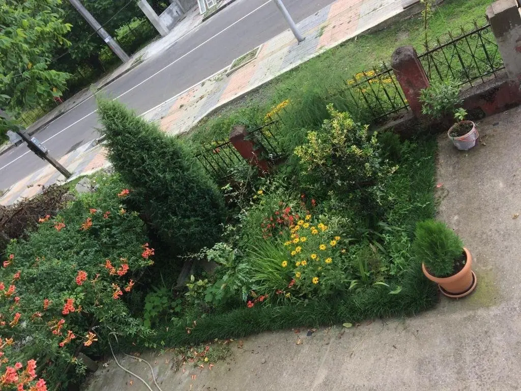 Кобулети: Natia guest house