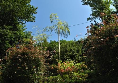 Батуми: Eco Villa Guesthouse